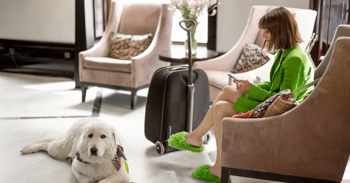 Best Pet Friendly Hotels In Canberra